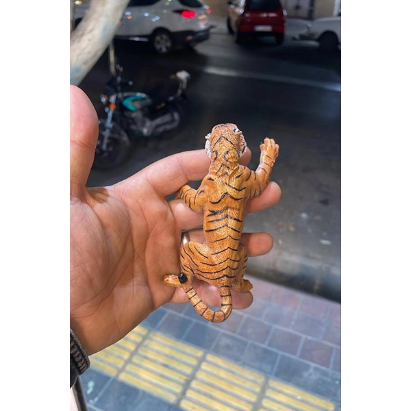 فیگور ببر بنگال نر ایستاده